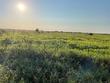 audeane lane, sealy,  TX 77474