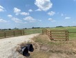 837 kaechele road, wallis,  TX 77485