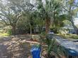  saint petersburg,  FL 33710