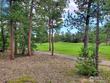 3021 lake arapahoe ct, red feather lakes,  CO 80545