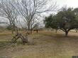 10200 n taylor rd, mcallen,  TX 78504