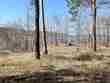  brookeland,  TX 75931