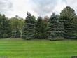  zeeland,  MI 49464