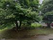  chisholm,  MN 55719