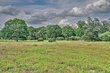 17718 tranquil ln, cat spring,  TX 78933