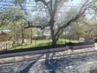  austin,  TX 78721