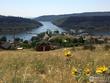 4308 edith dr, fort collins,  CO 80526