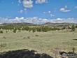 181 deadhorse mountain ct, livermore,  CO 80536