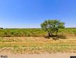 10500 county road 405, merkel,  TX 79536