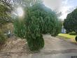 6807 trendal ln, austin,  TX 78744