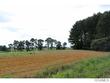 0 co rd 1466, cullman,  AL 35055