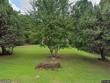  cullman,  AL 35055