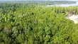 lot 28/29 live oak drive, browndell,  TX 75931