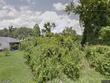  palm coast,  FL 32164