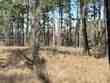  brookeland,  TX 75931