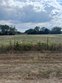  quinlan,  TX 75474