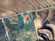 15995 county road 466, merkel,  TX 79536