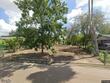  donna,  TX 78537