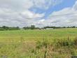 2191 county road 1659, cullman,  AL 35058