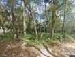  paisley,  FL 32767