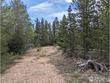 90 quapaw ct, red feather lakes,  CO 80545