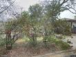 509 upson st, austin,  TX 78703