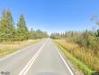  cook,  MN 55723