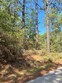 420 sparkleberry dr, brookeland,  TX 75931
