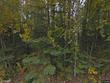  kenai,  AK 99611