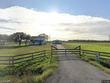 2129 lezak rd, sealy,  TX 77474