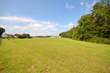 685 co rd 406, cullman,  AL 35057