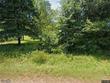 3050 county road 974, crane hill,  AL 35053