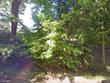 18194 shady hollow way, west linn,  OR 97068
