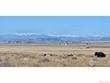 cr 82, wellington,  CO 80549