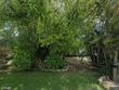  lake placid,  FL 33852