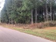 tbd county road 4130, pittsburg,  TX 75686