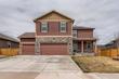 3634 day lily street, wellington,  CO 80549