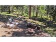 161 miami ct, red feather lakes,  CO 80545