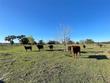  groveland,  FL 34736