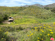  malibu,  CA 90265