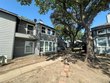 9696 walnut st #1012
                                ,Unit 1012, dallas,  TX 75243