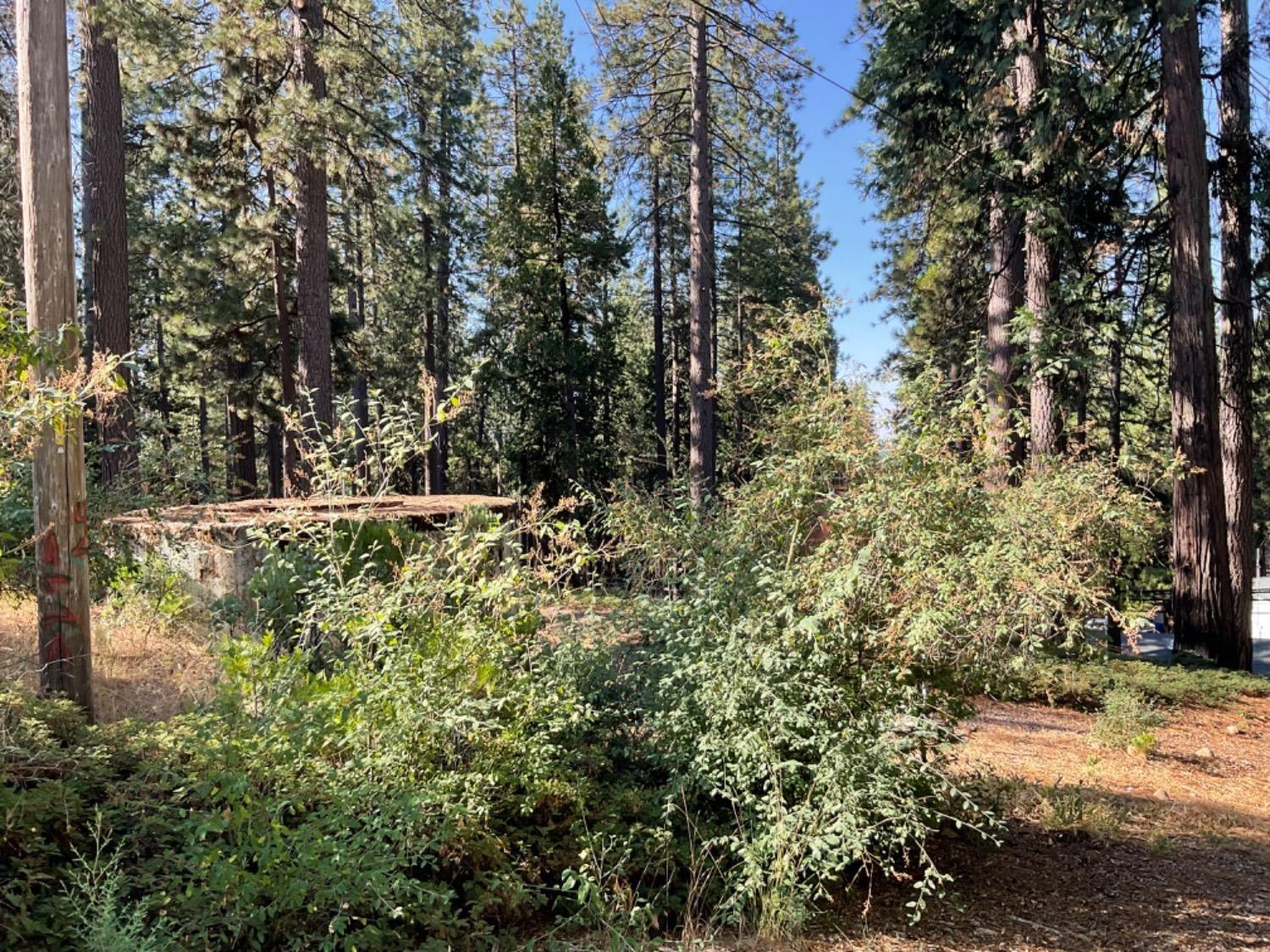 arnold,  CA 95223