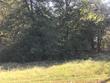 tbd county road 2602, pittsburg,  TX 75686
