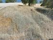 clearlake,  CA 95422