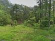 821 county road 030, jasper,  TX 75951