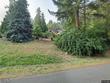  gig harbor,  WA 93286