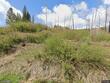  grizzly flats,  CA 95636