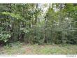 county road 351, crane hill,  AL 35053