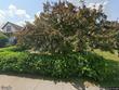 909 e 7th st, duluth,  MN 55805