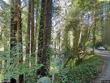 monte rio,  CA 95462
